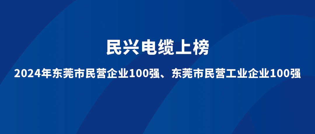 民興位列第15位！2024年東莞市民營工業(yè)企業(yè)100強(qiáng)榜單發(fā)布